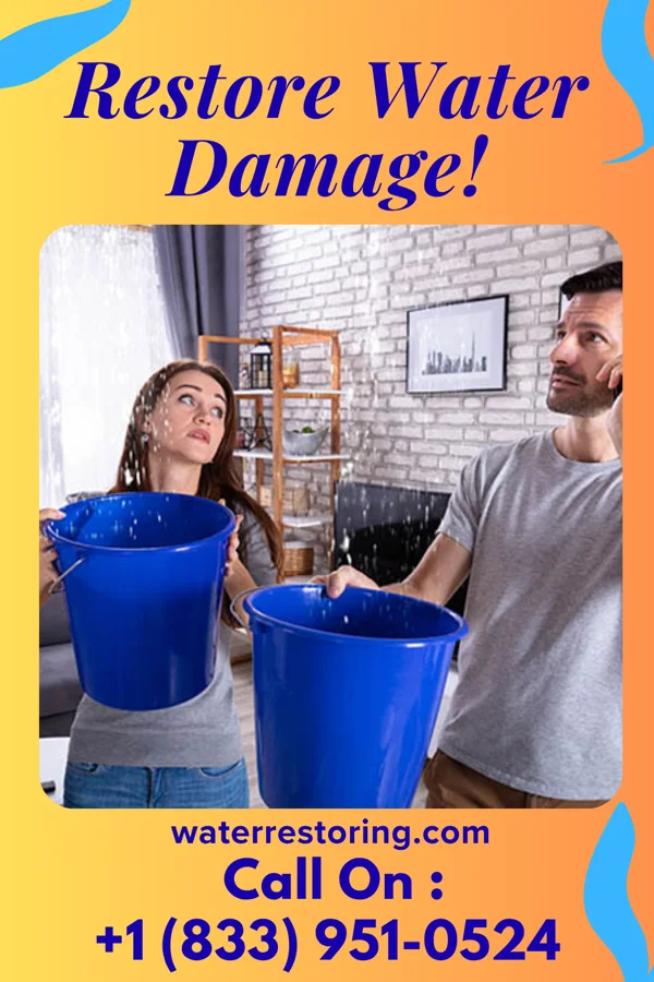 water restoration Pro Disaster Cleanup Company Fort Totten